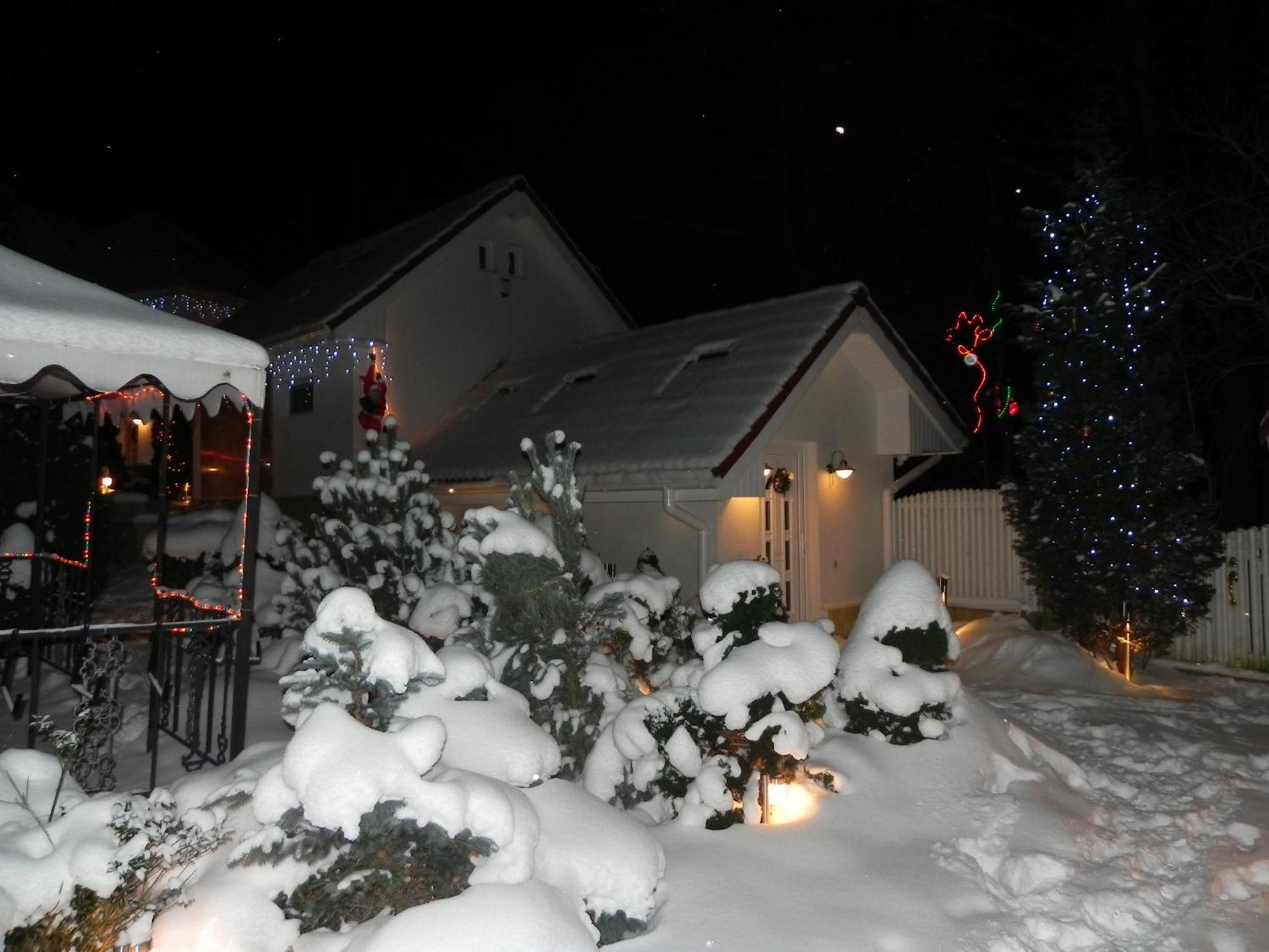 Boutique Hotel Forest Retreat (Adults Only) Busteni Exterior photo