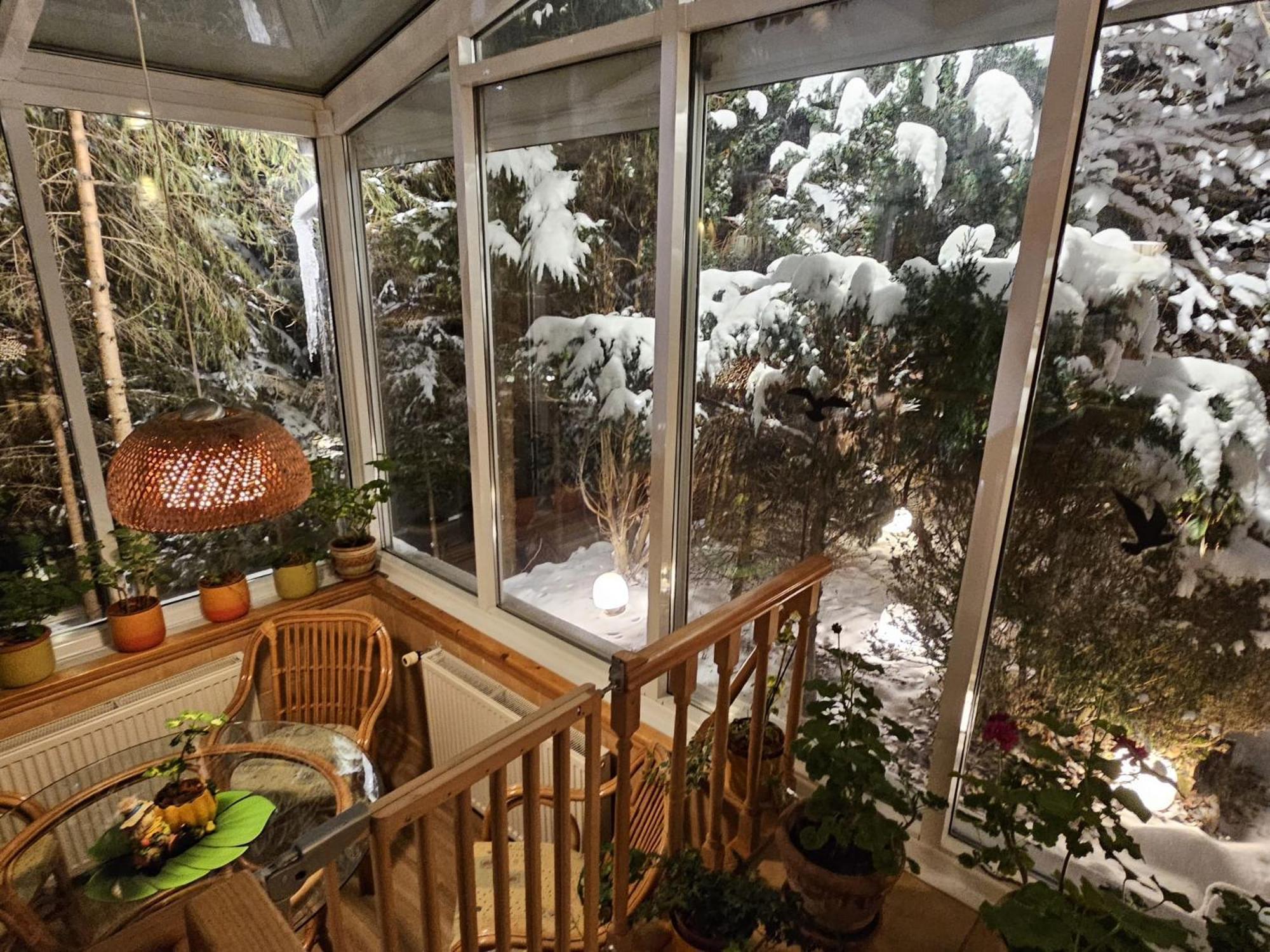 Boutique Hotel Forest Retreat (Adults Only) Busteni Exterior photo